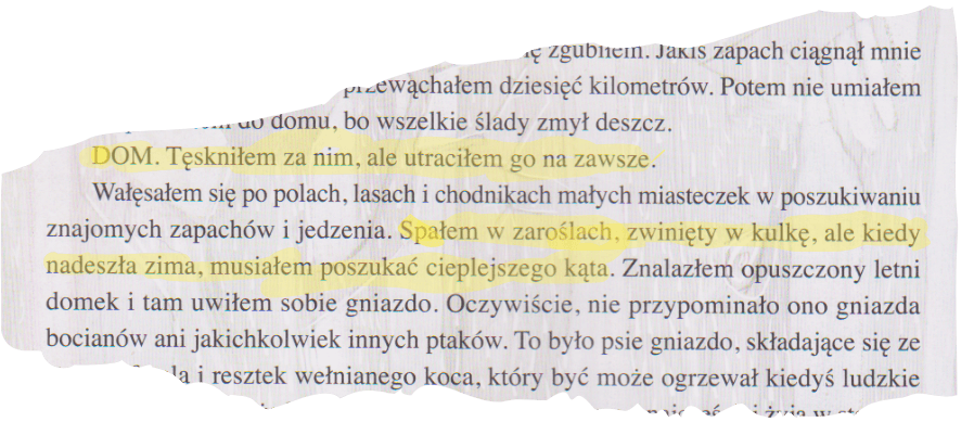 Strona książki Psierociniec Agaty Widzowskiej z cytatem o bezdomnym psie tęskniącym za domem. Cytat podkreślony na żółto, w tle rozmyta ilustracja psa.
